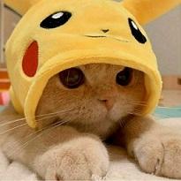 gattopikachu.jpg