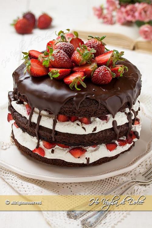 Torta-cioccolato-e-fragole-ricetta-facile.thumb.jpg.7cfb8a8da41c6a48fe3d66ae1ad57bca.jpg