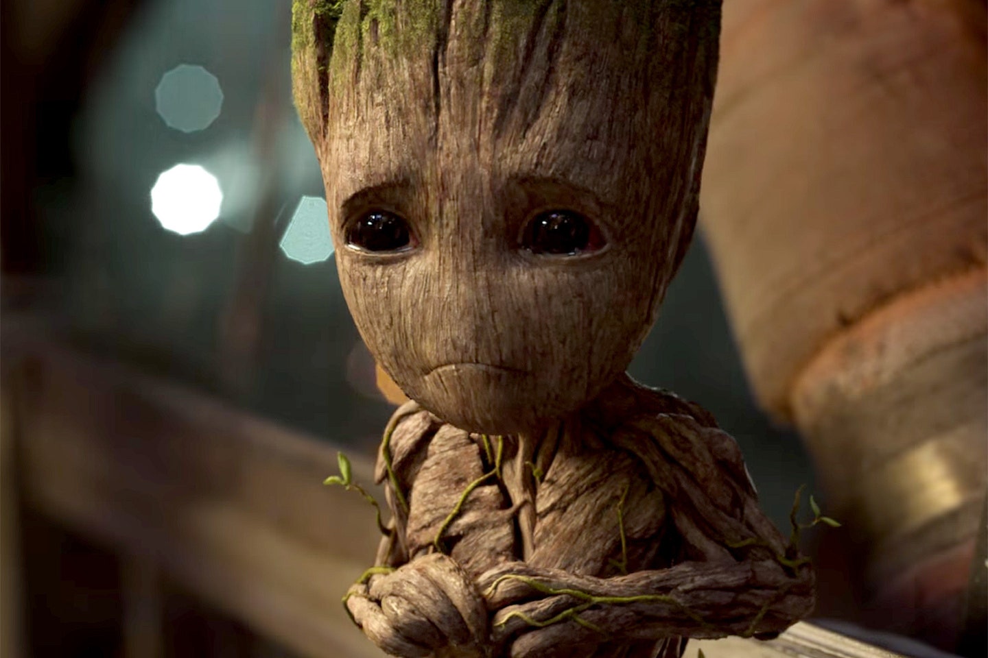 bb-groot.jpg.c611991e3b969ba97be3ff79d87c643b.jpg