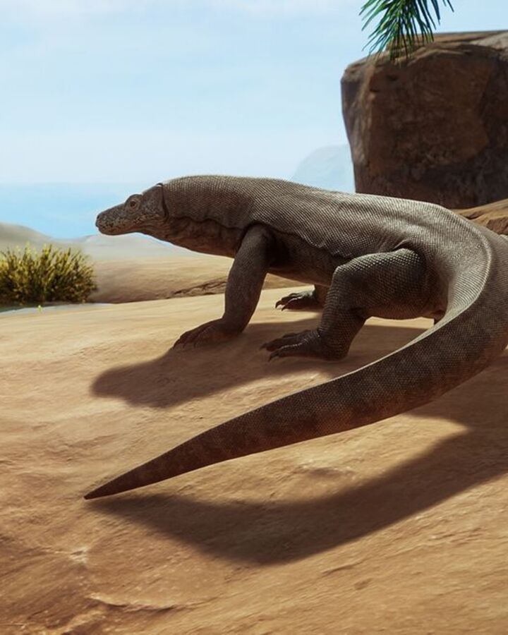 KomodoDragon.jpg.558919848456269ba44597fdef0eb298.jpg