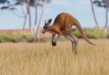 Red_Kangaroo_Inbox.jpg.2470c184e40b0b5217fd625294132ad7.jpg