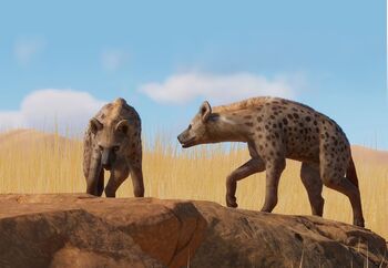 SpottedHyena.jpg.dd273bbc0b374916e467c417fb70b535.jpg