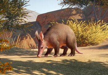 Zoopedia_Aardvark.jpg.2ea2d10742be2364e3885069f0d80aa0.jpg