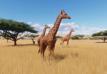 ReticulatedGiraffe.jpg.ffe5e4ea9c5eafa4ecc45f6e9549fca7.jpg