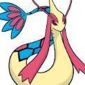 Milotic258