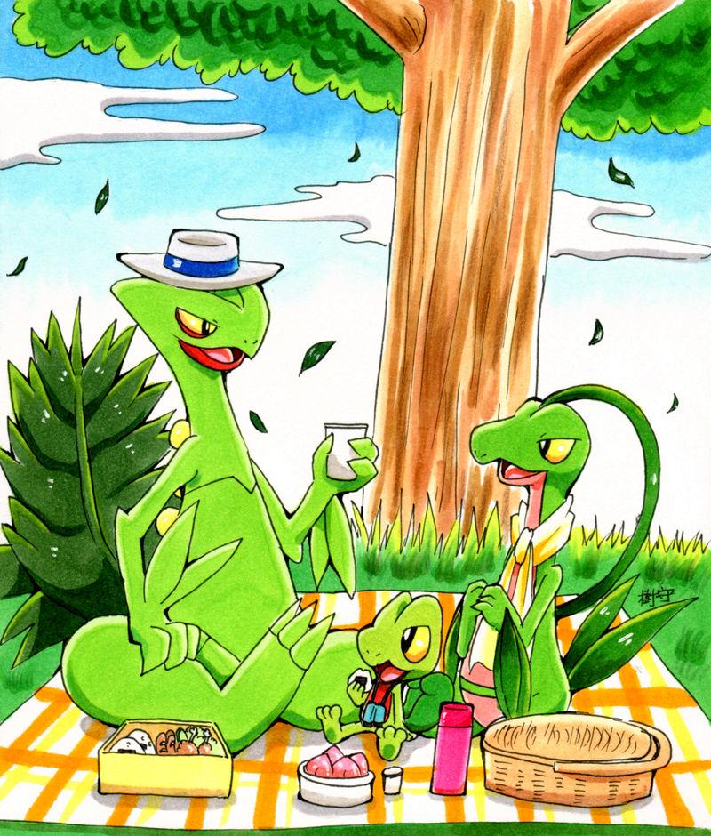 __treecko_sceptile_and_grovyle_pokemon_drawn_by_kimori_mfkayj__5c8234e0c36fda46d53210a7872abb12.jpg.e356a5042e3d285202cefbc158627370.jpg