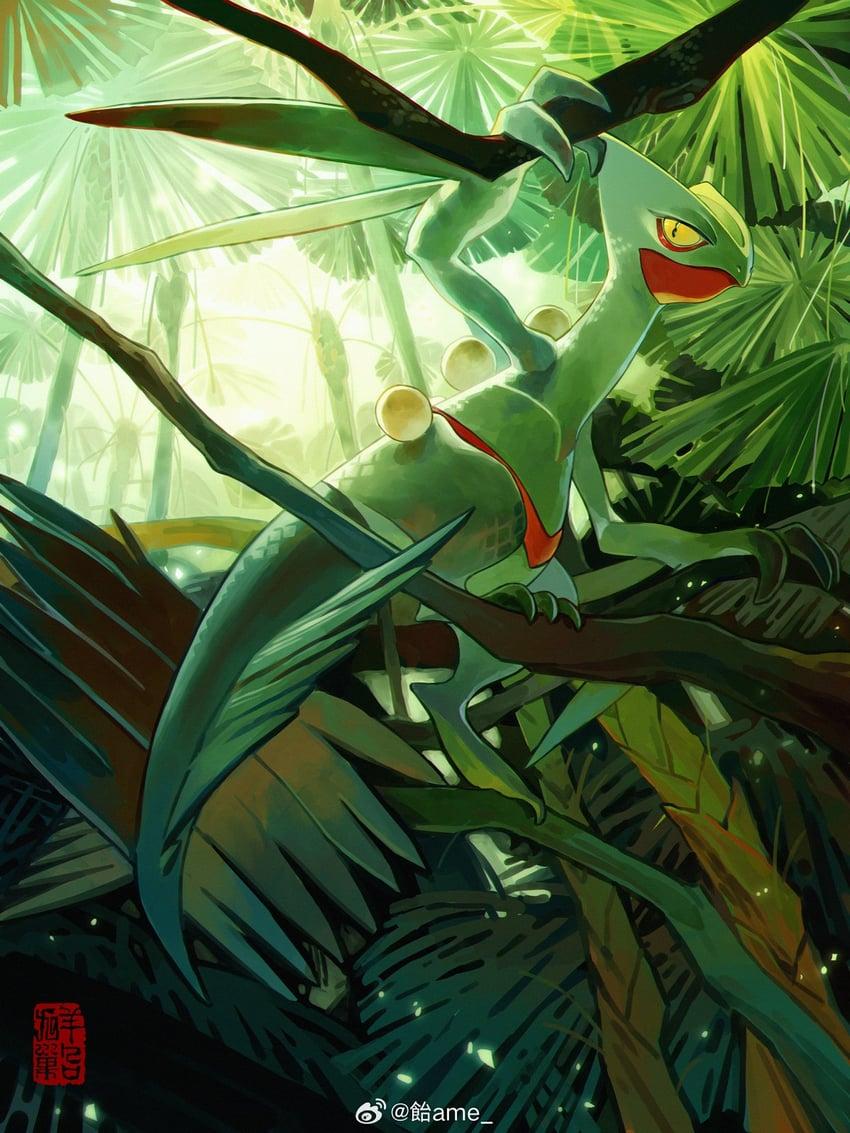 __sceptile_pokemon_drawn_by_amehatobook__sample-4b38e3cf63cc12bef28472935bafdccb.jpg.529852b45e5d8080217fb62bb9f0beb4.jpg